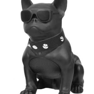 Boxa Portabila Bulldog NEGRU Cu Bluetooth CH M11M Cititor USB Card Radio si microfon