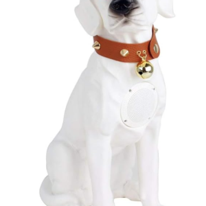 Boxa Portabila Labrador ALB Cu Bluetooth CH M211M Cititor USB Card Radio si microfon