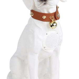 Boxa portabila wireless cu bluetooth si microfon tip labrador CH M211M