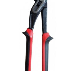 Cleste tip papagal 12