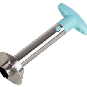 Feliator de Ananas Verde 24 cm