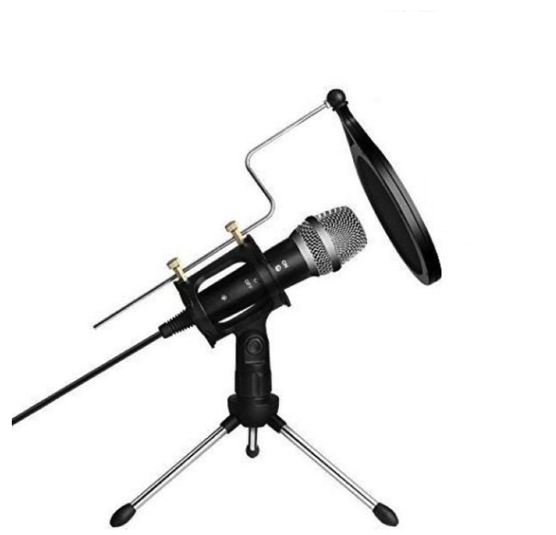 Microfon Profesional de inregistrare vocala si Karaoke pentru Studio WG 500II