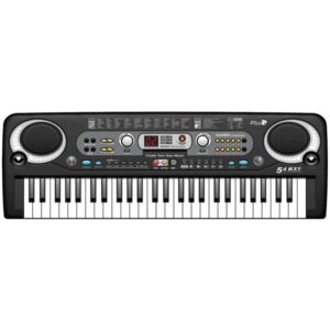 Orga Electronica  54 Clape si Microfon