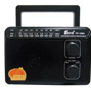 Radio portabil ROTOSONIC FP-1603 cu 3 benzi