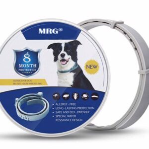 Set 2 x Zgarda CAINI anti purici si capuse 62 cm / 60 grame Antiparazitara