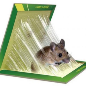 Set 8 Capcana cu lipici pentru soareci si sobolani Lure traps