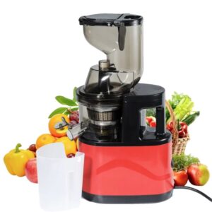 Storcator electric de fructe si legume putere 500W tehnologie de extractie ridicata